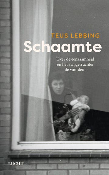 Schaamte 9789493272859 Teus Lebbing, Verzenden, Teus Lebbing