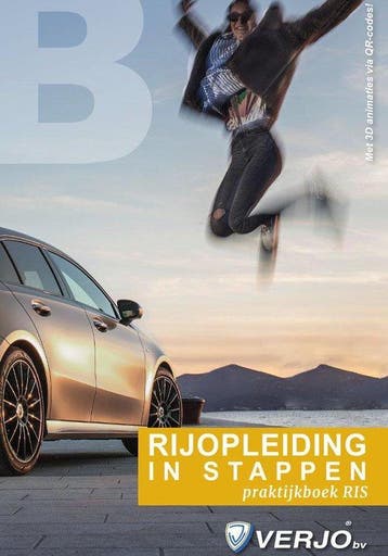 rijopleiding in stappen / Verkeerswegwijzer 9789058624338, Verzenden, Zo goed als nieuw, C.G.C.P. Verstappen
