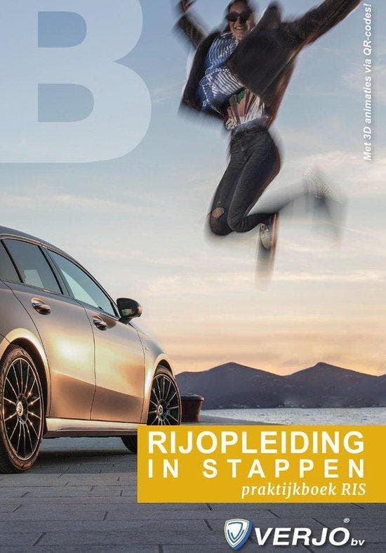 rijopleiding in stappen / Verkeerswegwijzer 9789058624338, Boeken, Techniek, Zo goed als nieuw, Verzenden
