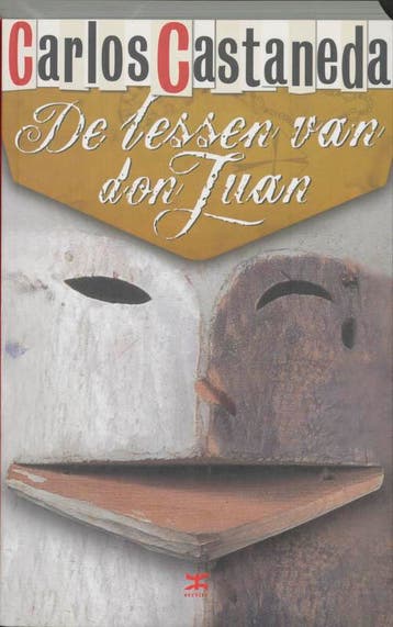 De lessen van Don Juan 9789021583020 C. Castaneda, Boeken, Verzenden, Zo goed als nieuw, C. Castaneda