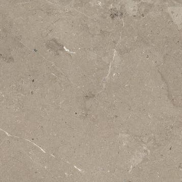 Vloertegel/Wandtegel Taupe 60x60cm (Muurtegels), 60 cm of meer, Nieuw, Ophalen of Verzenden, 10 m² of meer