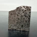 TANEZROUFT 091 meteoriet Mesosideriet Nieuwe classificatie -