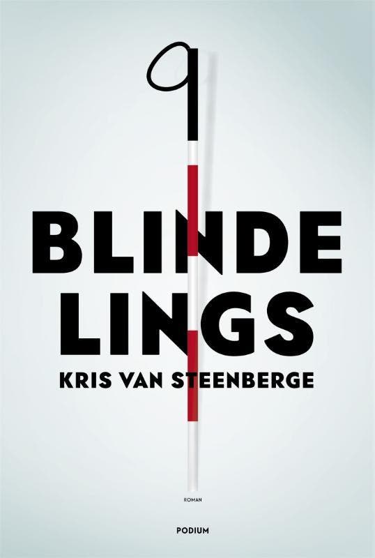 Blindelings 9789057597817 Kris Van Steenberge, Boeken, Romans, Gelezen, Verzenden