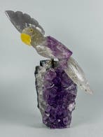 Rare piece - Handgesneden amethyst papegaai op amethyst -