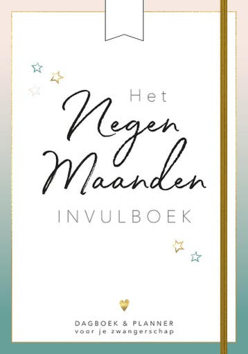 Het negen maanden invulboek (9789021571959, Eva Reinders), Boeken, Verzenden, Nieuw