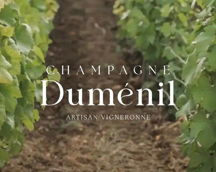 Dumenil, Rosé de Montagne - Champagne, Montagne de Reims, Collections, Vins