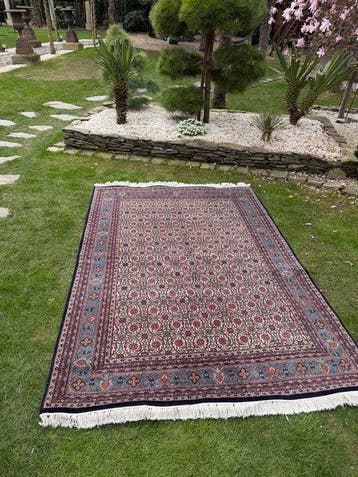 Nouveau tapis Indo-Bidjar - Tapis - 250 cm - 165 cm