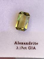 1 pcs Alexandriet - 3.17 ct - Gemological Institute of