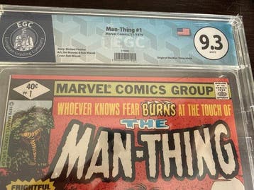 man-thing 1 - The Man-Thing 1 - 1 Comic - 1979/1979, Nieuw