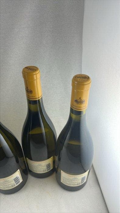 2024 Castello della Sala, Cervaro della Sala - Umbrië - 6, Verzamelen, Wijnen