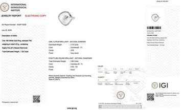 Ring - 18 karaat Witgoud - 1.55ct. tw. Diamant (Natuurlijk), Nieuw