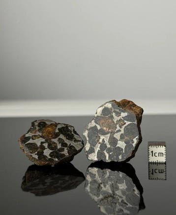 Météorite de Sericho Pallasites - 99 g - (2)