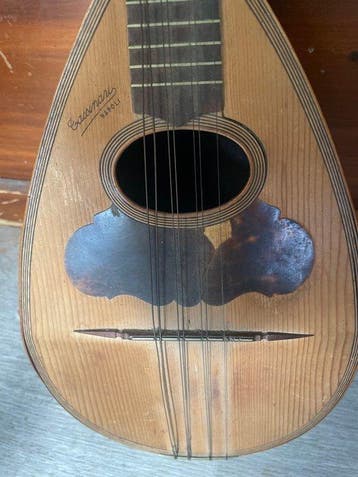 Fratelli Tassinari - - Mandoline - Italië - 1898 (Zonder