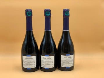Taisne Riocour, Grande reserve - Champagne Brut - 3 Flessen, Verzamelen, Nieuw