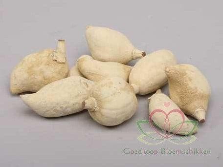 Baobab noten Light ca. 500 gram, Maison & Meubles, Accessoires pour la Maison | Plantes & Fleurs artificielles
