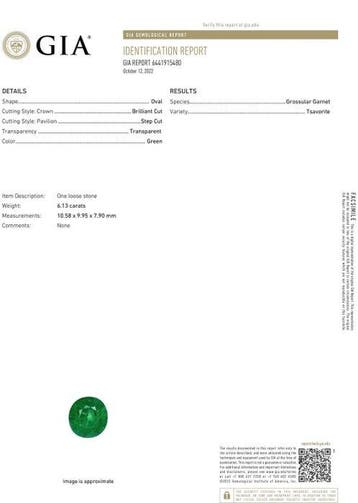 Ring - 14 karaat Witgoud - 6.62ct. tw. Tsavoriet - Diamant, Nieuw
