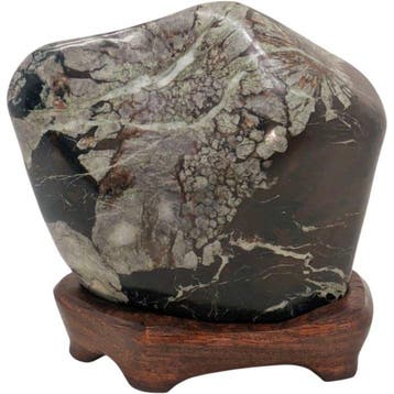 Large Neo Chrysanthemum Stone (Suiseki) - Natural Flower
