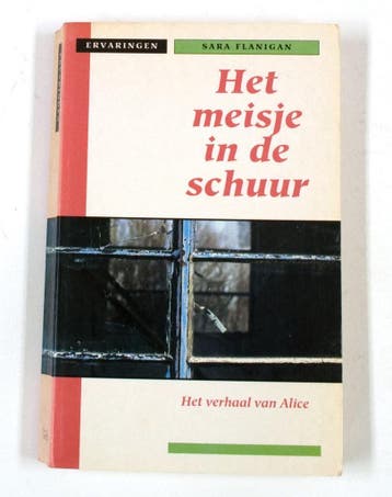 Het meisje in de schuur / Ervaringen 9789065907295, Verzenden, Sara Flanigan