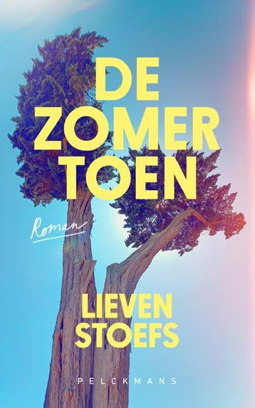De zomer toen 9789463833783 Lieven Stoefs, Verzenden, Gelezen, Lieven Stoefs