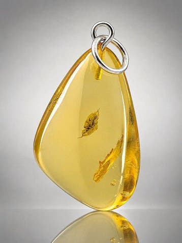 Kristalhelder Baltisch amberhanger – Uitzonderlijk, Verzamelen, Nieuw