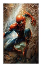 Alberto Ricardo (XXI) - Spiderman, CD & DVD, DVD | Films d'animation & Dessins animés