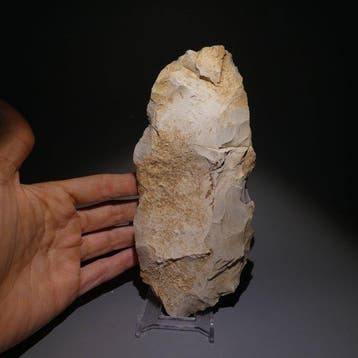 Michelsberg, Néolithique Grand silex, 19,5 cm de long., Collections, Minéraux & Fossiles