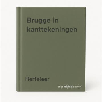 Brugge in kanttekeningen 9789020911688 Herteleer, Boeken, Verzenden, Gelezen, Herteleer