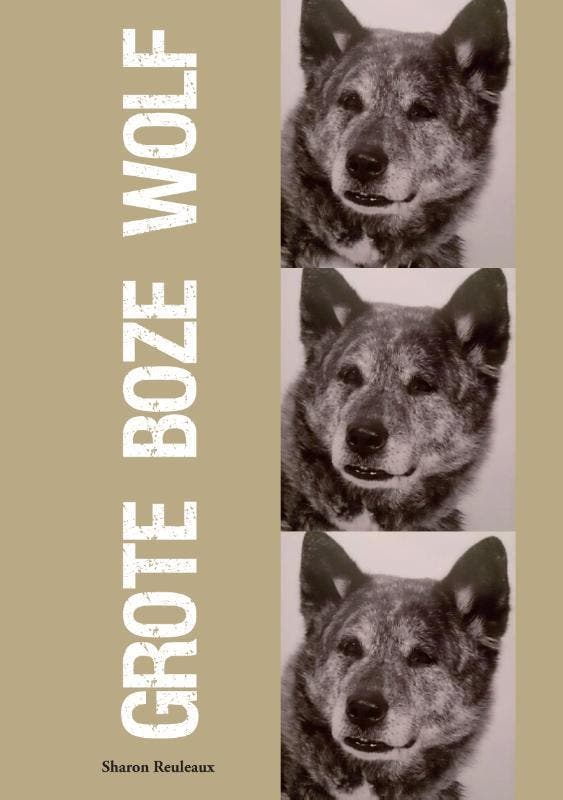 Grote boze wolf 9789048442171 Sharon Reuleaux, Boeken, Hobby en Vrije tijd, Zo goed als nieuw, Verzenden