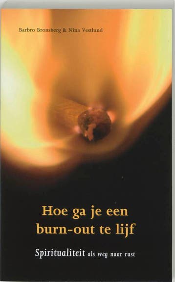 Hoe ga je een burn-out te lijf 9789025955984, Verzenden, Zo goed als nieuw, Barbro Bronsberg