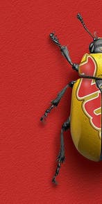 F2B - BeetleCan Nuts 1I8