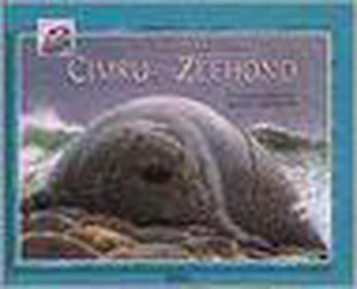 Het verhaal van Cimru de zeehond 9789024372522 T. Radcliffe, Livres, Livres pour enfants | 0 an et plus, Envoi