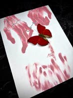 Vlinder Taxidermie volledige montage - Blood-striped
