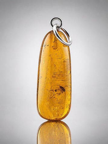 Zeldzaam Baltisch amber hanger – Uitzonderlijke parasitaire