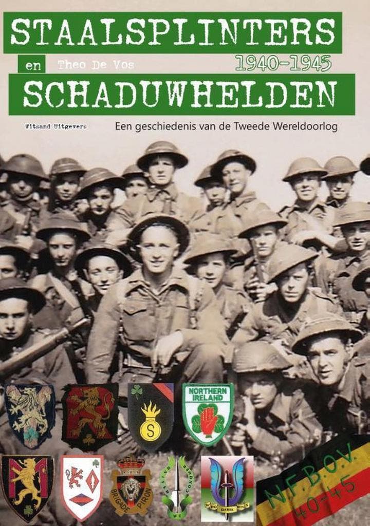 Staalsplinters en schaduwhelden 9789492934307 Theo De Vos, Boeken, Geschiedenis | Nationaal, Zo goed als nieuw, Verzenden
