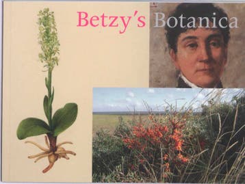Betzys Botanica 9789089101747 Erik Saaltink, Boeken, Verzenden, Zo goed als nieuw, Erik Saaltink