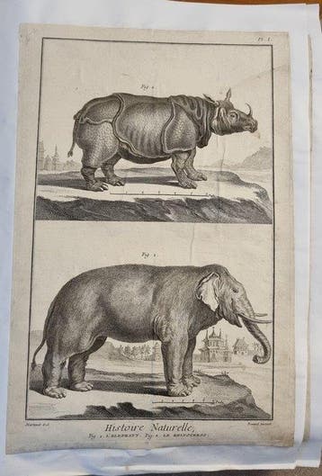 Diderot; DAlembert - [Encyclopédie] Recueil de Planches,