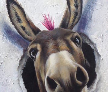 Gala - Donkey painting ~ Pink ~