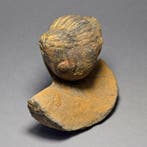 Trilobiet - Gefossiliseerd dier - Caudillaenus nicolasi -, Verzamelen, Mineralen en Fossielen