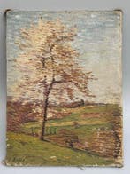 César Alphonse Bolle (1879–1963) - Paesaggio con albero in