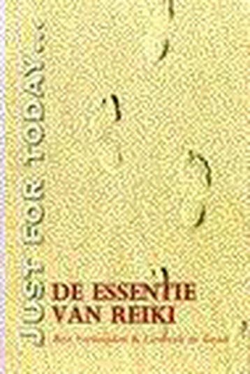ESSENTIE VAN REIKI 9789080399013 B. Verheijden, Verzenden, B. Verheijden