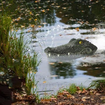 RC Krokodil Hoofd met Afstandsbediening - Elekrisch, Verzenden, Nieuw