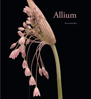 Allium | Bart Berg | Nieuw, Verzenden, Bart Berg