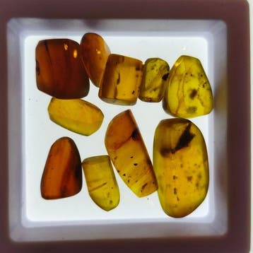 Birmese Barnsteen 10 stukken 10.72 gram met