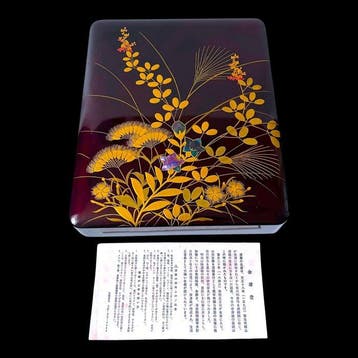 Japanese Aizu Tamamushi Lacquer ()Suzuribako with