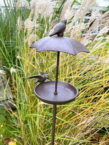 Vasque pour oiseaux - Fonte - bol à graines pour oiseaux