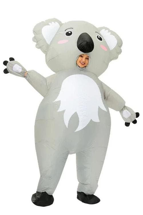 KIMU® Opblaas Kostuum Koala Opblaasbaar Pak Koalapak Mascott, Kleding | Heren, Carnavalskleding en Feestkleding, Nieuw, Ophalen of Verzenden