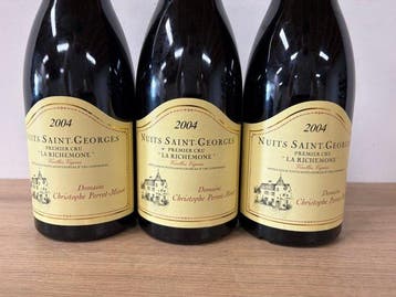 2004 Domaine Christophe Perrot-Minot, La Richemone, Nieuw
