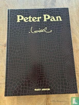 Peter Pan - 2006, Boeken, Stripverhalen, Zo goed als nieuw, Eén stripboek, Verzenden
