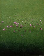 Parfen.D XL - Bloom and Float
