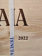 2022 Tenuta San Guido, Sassicaia - Bolgheri - 6 Flessen, Collections